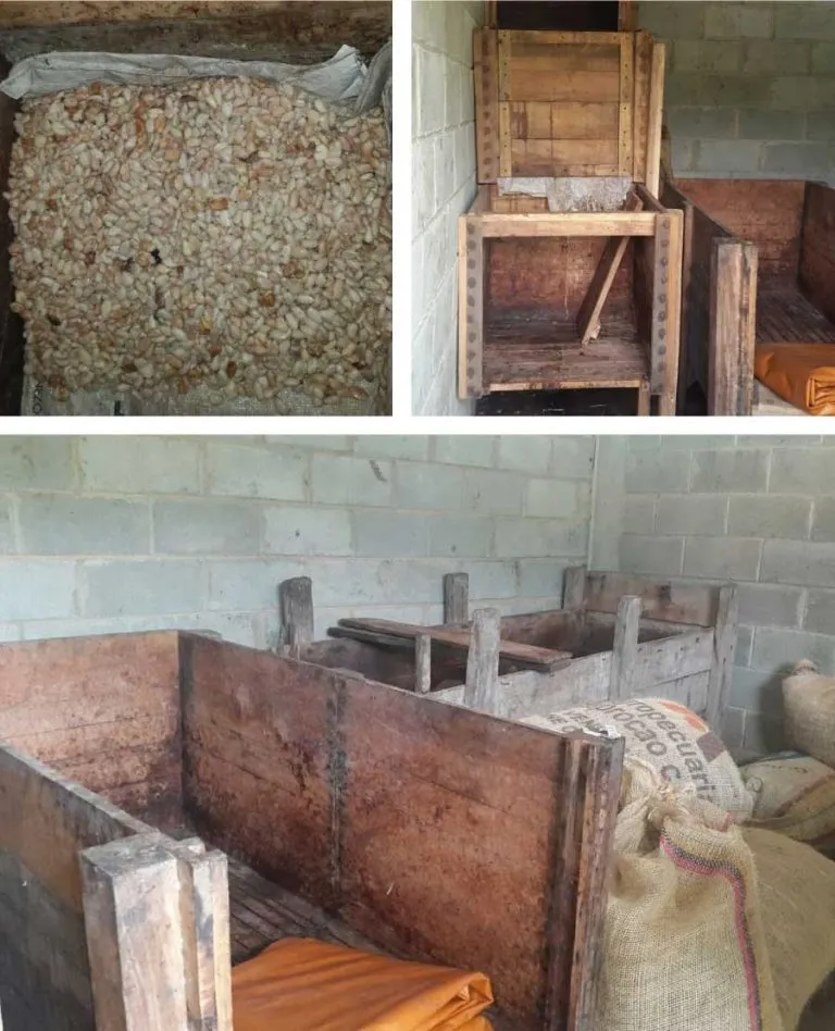 fermentation protocol