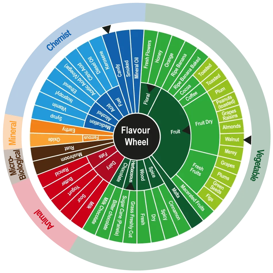 Cocoa Flavor Wheel