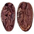 canoabo seed